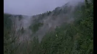 Foggy Clouds Whisping through Plott Balsams on the Blue Ridge Parkway after Sunset
