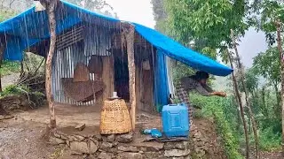 Nepali Mountain Village Life in Heavy Rainy Day I Most Peaceful And Relaxing Village Life Jiree