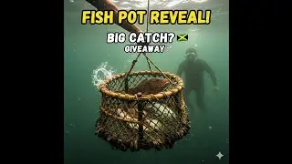 Murky Water Spearfishing/Fish Pot dive! 🇯🇲 10K Special Catch & Giveaway