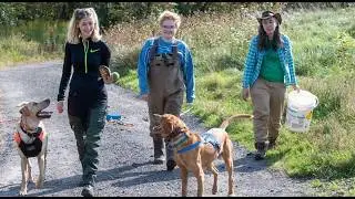 How a Wildlife Detection Dog and His Student Handlers Are Helping Preserve Rare Turtles