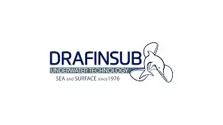 DRAFINSUB 2023 ...