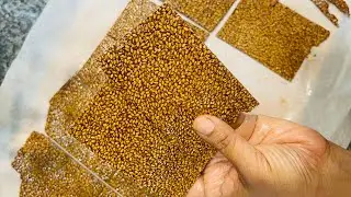 Easy and quick snacks to make at home | Sesame Seed Healthy Bar | Just 3 Ingredients |
