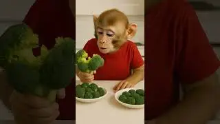 baby monkey eating broccoli 🥦