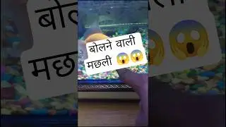 😱😱😱😱 #patna #fishing #fish #viral #viralreels #shorts #youtuheshorts #viralshorts #aquriamfish