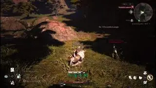 Bless Unleashed - Zded Berzerker 44 Pvp VS Ranger Pvp 45