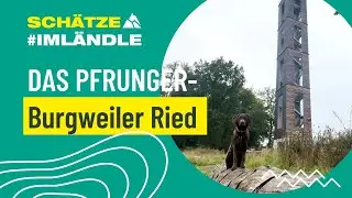Das Pfrunger-Burgweiler Ried