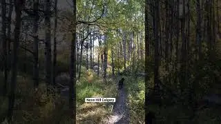 Hiking Nose Hill Park in Calgary on a Perfect Fall Day!