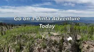 #1 UTV Tours near PARK CITY UT
