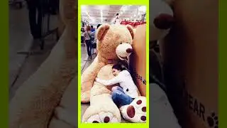World Teddy Bear Day🐼🐻🐨|Teddy Bear Day Quotes|Happy Teddy Bear Day WhatsApp Status|Teddy Bear#shorts