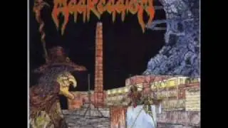Aggression - 