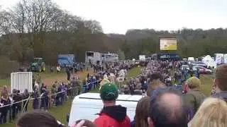 2015 Lambourn Open Day:  Jockey and Trainer camel race final