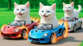 Mama Cat Trims Fur on the Farm and Makes Tiger Hat For Kittens At Home🐾🎩🐯 |AI CAT STORY