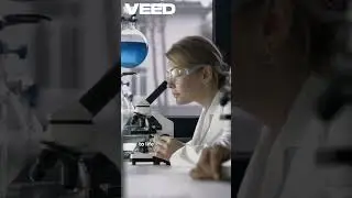 AI That Designs New Life Forms 🤯🧬 The Future of Evolution #science #facts #shorts #biotech #trending