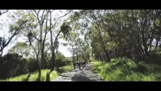 Rapha Adelaide Gentlemen's Race