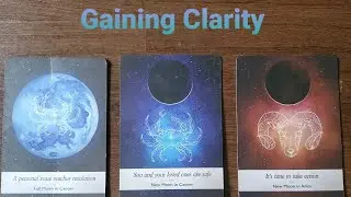 New Moon in Leo August 2020 Tarot/Oracle Card Reading: Gaining Clarity