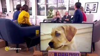 Les cas pratiques du 17 janvier