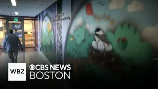 Behind the scenes at Boston Children's Hospital