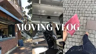 Move to Sweden With Me! A chaotic vlog of packing, plane snacks, and getting settled :)
