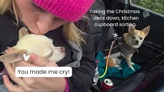 My subscribers are better than yours. Wholesome vlog, sorting, taking decs down, loads of bit n bobs