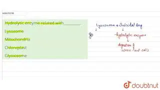 Hydrolytic enzyme related with_________. | 12 | BIOLOGY AT A GLANCE | BIOLOGY | ALLEN | Doubtnut