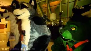 Video Compilaton - Still Motion Furries