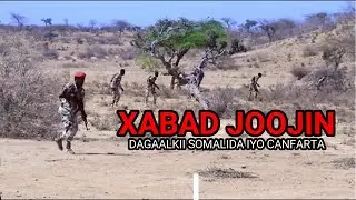 Muxuu Yahay Heshiiska Laga Gaadhay Dagaalkii Canfarta iyo Somaalida Itoobiya Ee Maanta La Gaadhay.?