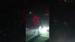 Lampy performance during October Festival 