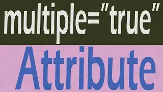 What Use MULTIPLE Attribute in HTML - What is MULTIPLE Attribute in HTML 2021