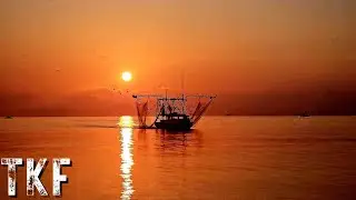 EPIC Venice, Louisiana Saltwater Fishing Adventure | Part 1
