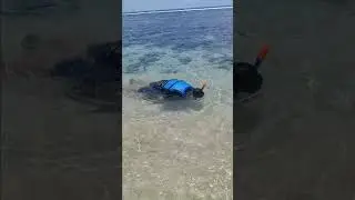 Snorkeling di Pantai Sadranan Gunung Kidul