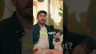 on instagram people are loving the cat from our last video so here's more!