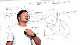 Respiratory system by sumit sir #biology #bpsc #neet 