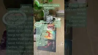 You were meant to be a trailblazer! Tarot reading | Soul&rsquo;s Guide