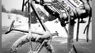 Pro Tips: ALTA Rack Tire Straps - Perfect Bike Mounting Guide