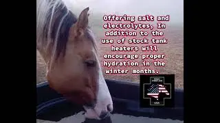 Winter Water Consumption
