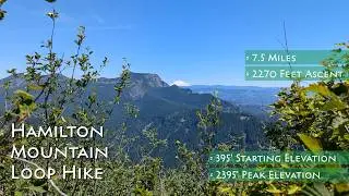 Hamilton Mountain Loop Hike Guide | Beacon Rock State Park, Washington
