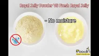Royal Jelly Powder
