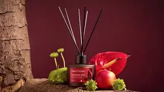 Soul & Scents Mahogany Reed Diffuser | Luxury Home Fragrance & Decor