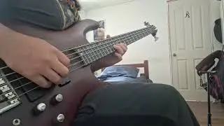 The Pot - TOOL (Bass Cover)
