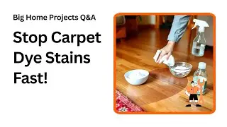 How to Stop Carpet Dye Stains Ruining Wood Floors
