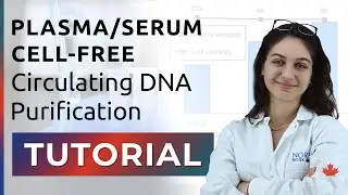 DNA Purification Tutorial - Plasma/Serum Cell-Free Circulating DNA