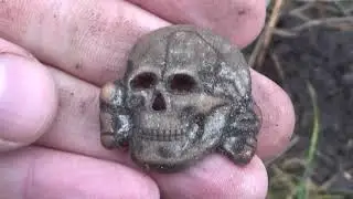 Atradumi , WW2 laika SS kokarde 