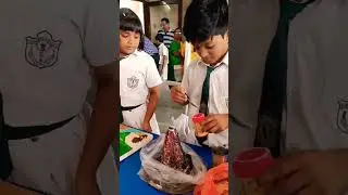#volcano 🌋 project / #childrensdayspecial #exhibition#dpsschool