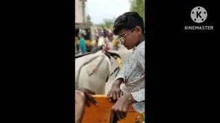 Aksharabaysam at basara temple with full details #aksharabyasam #basara #vasantapanchami #gansh