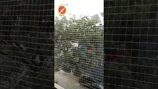 Top 5 Anti bird net in Gurgaon price | Nylon transparent Bird netting services near me