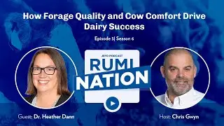 S6E5 | How Forage Quality and Cow Comfort Drive Dairy Success with Dr. Heather Dann