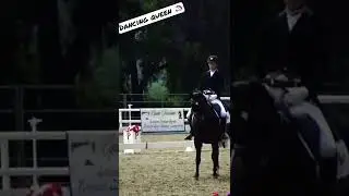 Grand Prix Horse! #dressage#horseshow#unicorn