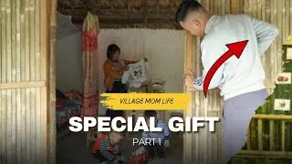 Anna&rsquo;s Special Gift | 30% Completed New Home for Chickens, Ducks & Geese