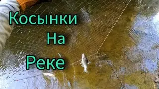 ЖАРА, КОМАРЫ. РЫБАЛКА НА ЭКРАНЫ НА МИКРОРЕЧКЕ. ЛЕТО 2024.