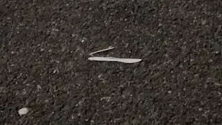 a video of a plastic knife 2